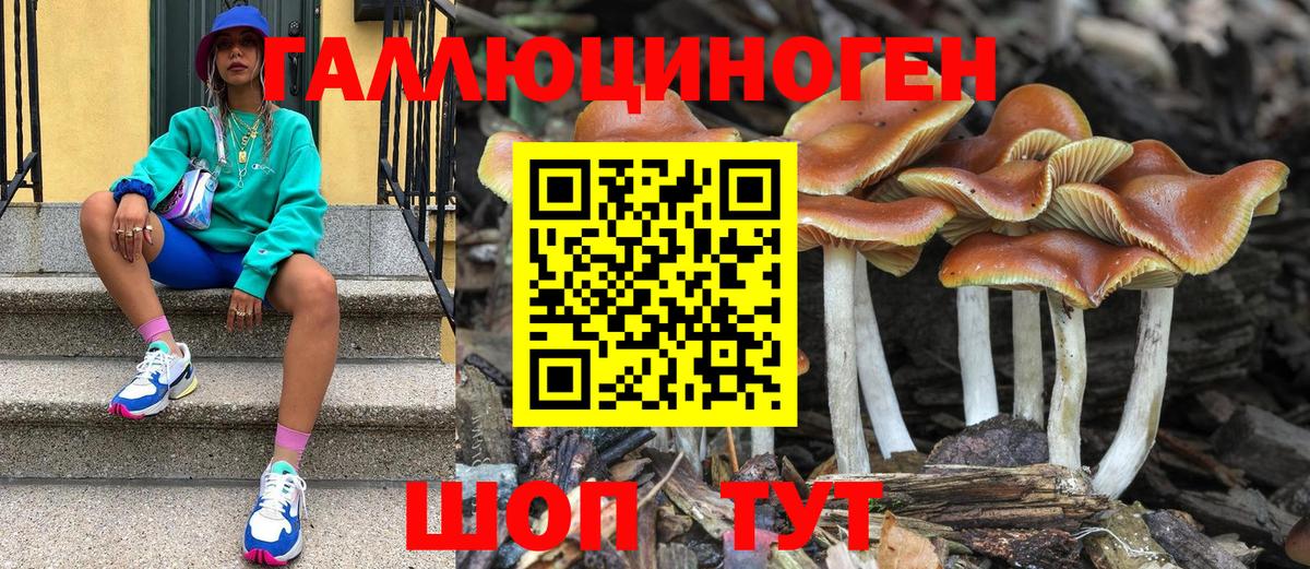 Псилоцибиновые грибы Cubensis Ангарск