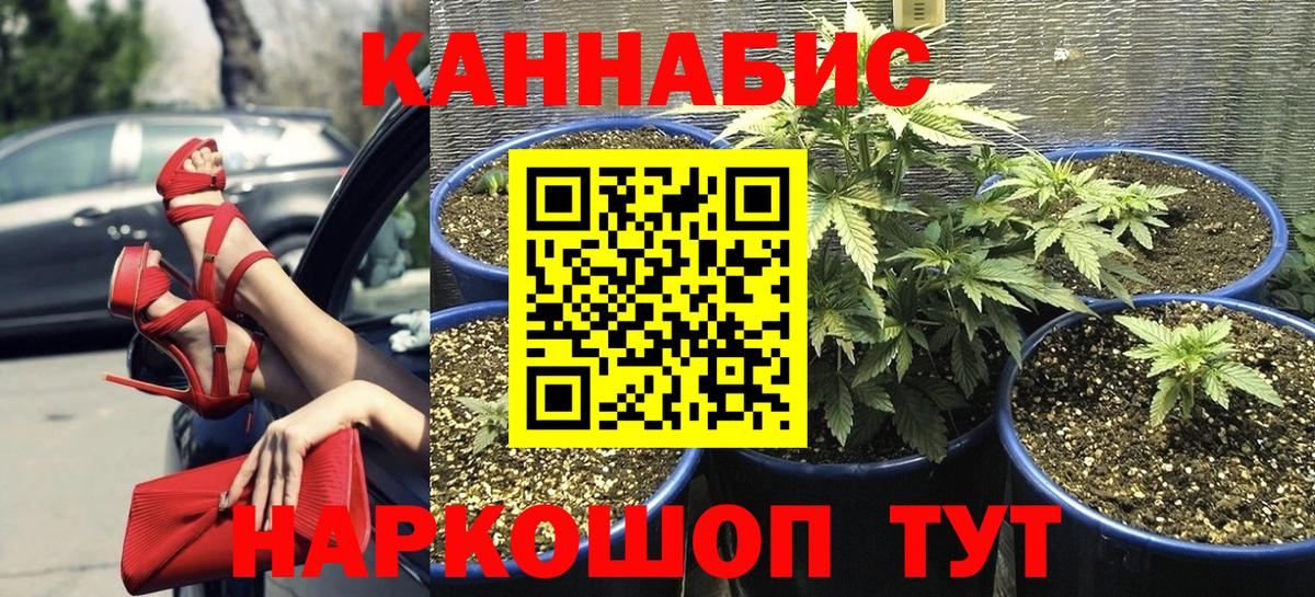 Бошки марихуана конопля  Бошки Шишки Amnesia  Вход с VPN  Ангарск 
